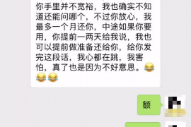 丰顺丰顺的要账公司在催收过程中的策略和技巧有哪些？